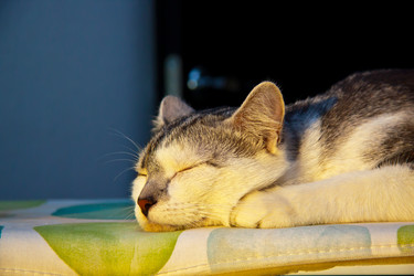 Similar image 22121758