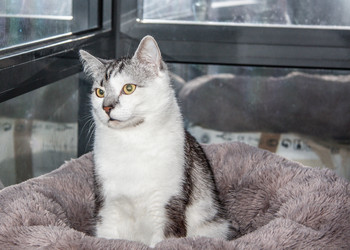 Similar image 22121759