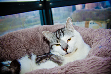 Similar image 22121760