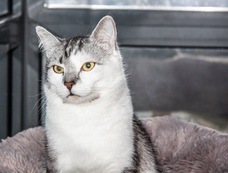 Similar image 22121761