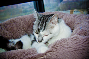 Similar image 22121762