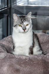 Similar image 22121764