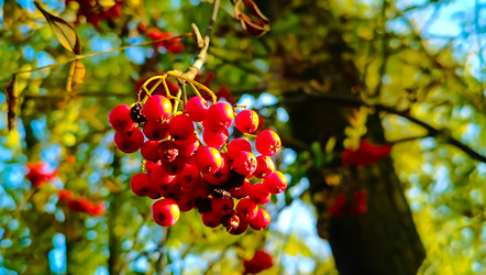 Similar image 22121766