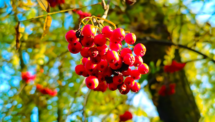 Similar image 22121767