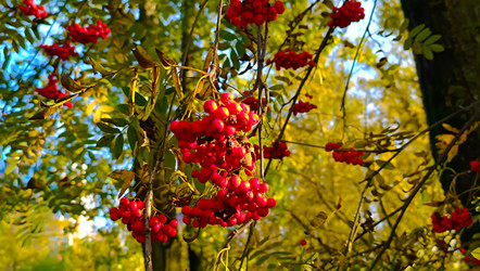 Similar image 22121768