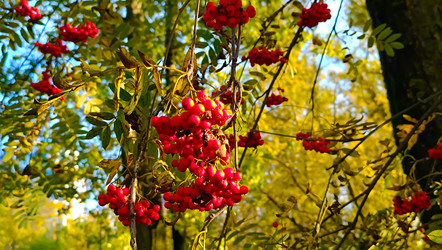 Similar image 22121769