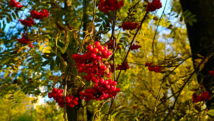 Similar image 22121770