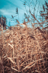 Similar image 22121771