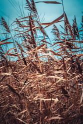 Similar image 22121772