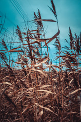 Similar image 22121773