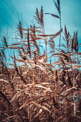 Similar image 22121774