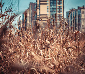 Similar image 22121775