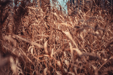 Similar image 22121776