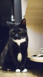 Similar image 22121777