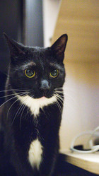 Similar image 22121778