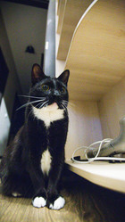 Similar image 22121779