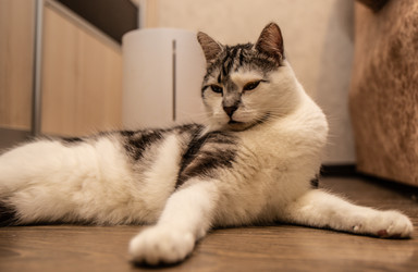 Similar image 22121780