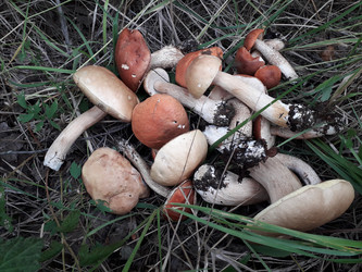 Similar image 22131364