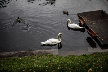 Similar image 22111192