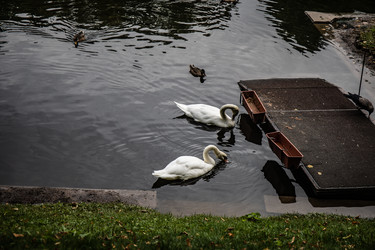 Similar image 22111193