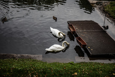 Similar image 22111194