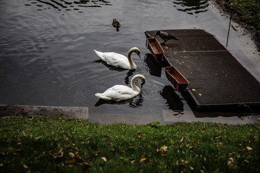 Similar image 22111195