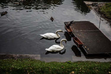 Similar image 22111196