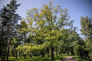 Similar image 22121784