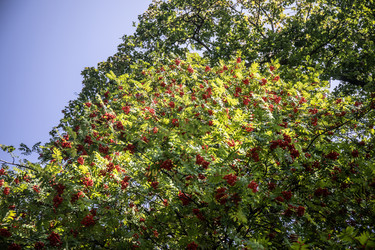 Similar image 22121785