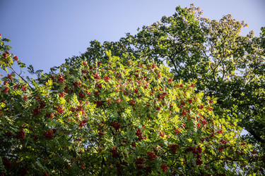 Similar image 22121786