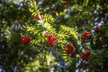 Similar image 22121787