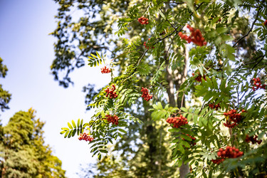 Similar image 22121788