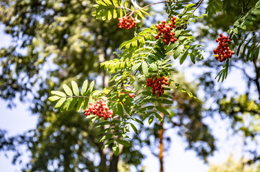 Similar image 22121789