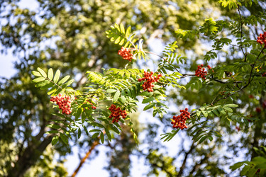 Similar image 22121790