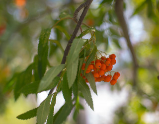 Similar image 22121795