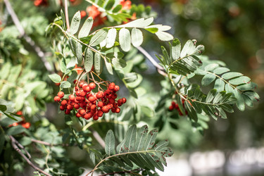 Similar image 22121796