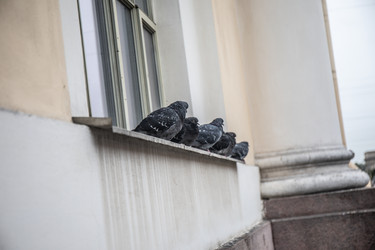 Similar image 22121800