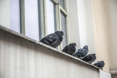 Similar image 22121801