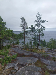 Similar image 22119338