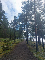 Similar image 22119453