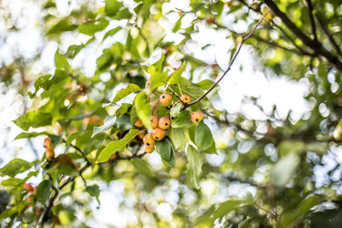 Similar image 22121808