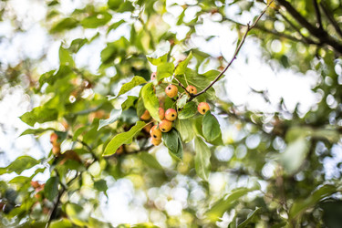 Similar image 22121809