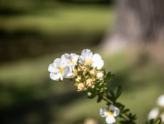 Similar image 22121810