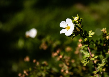 Similar image 22121812