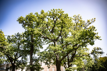 Similar image 22121813