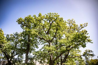 Similar image 22121814