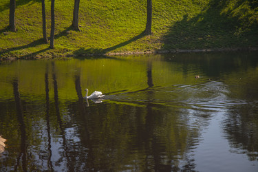 Similar image 22121823