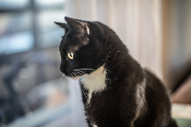 Similar image 22121835