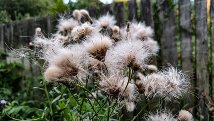 Similar image 22121836