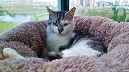 Similar image 22121837